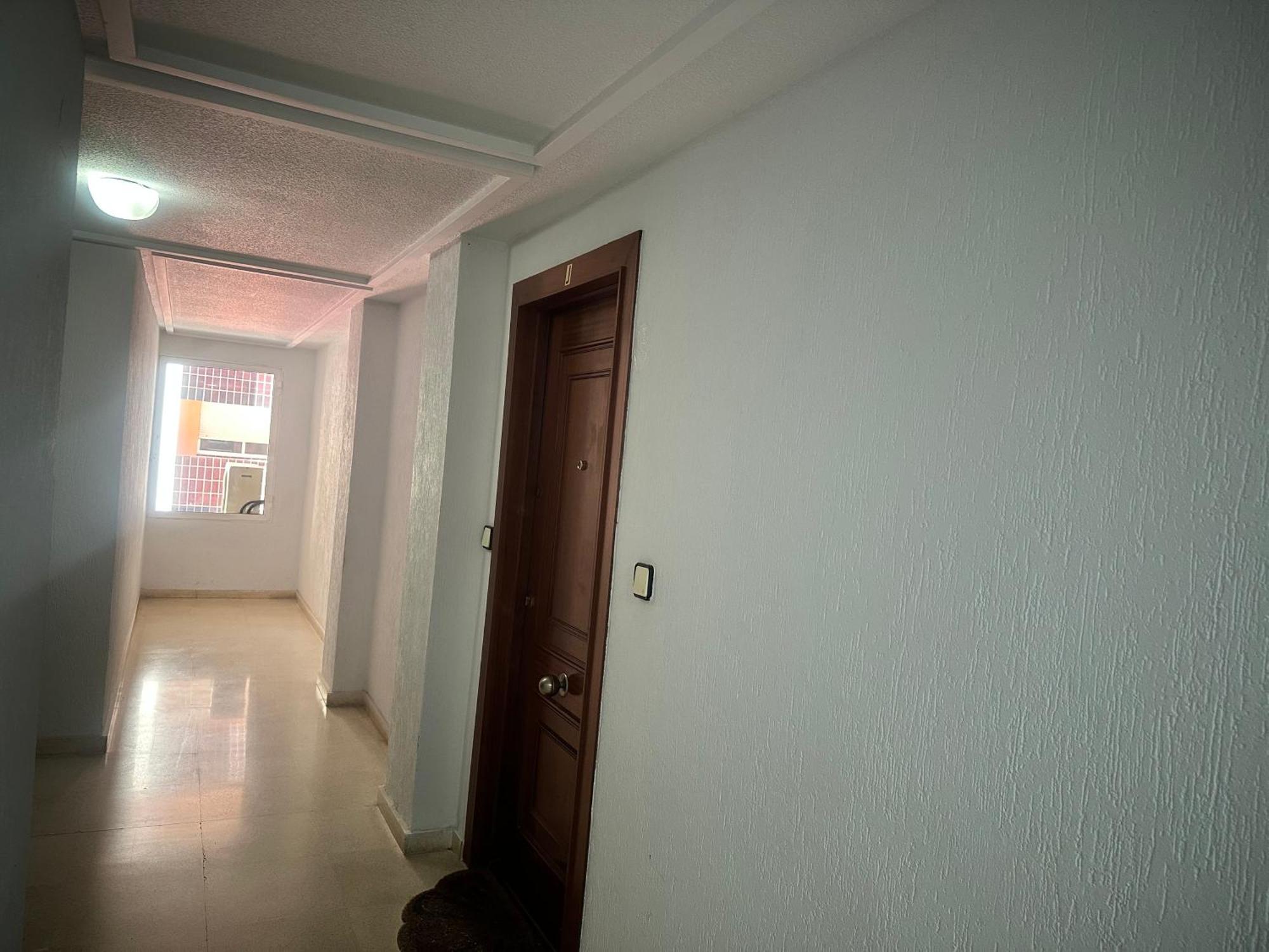 Homely Apartments Habaneras Torrevieja Exterior foto